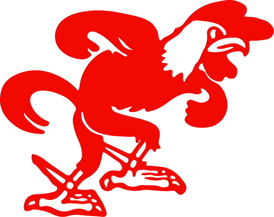 Jacksonville State Gamecocks 1956-1972 Primary Logo t shirts iron on transfers